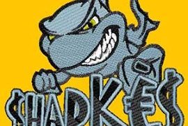 Design Broderie Design Broderie Création